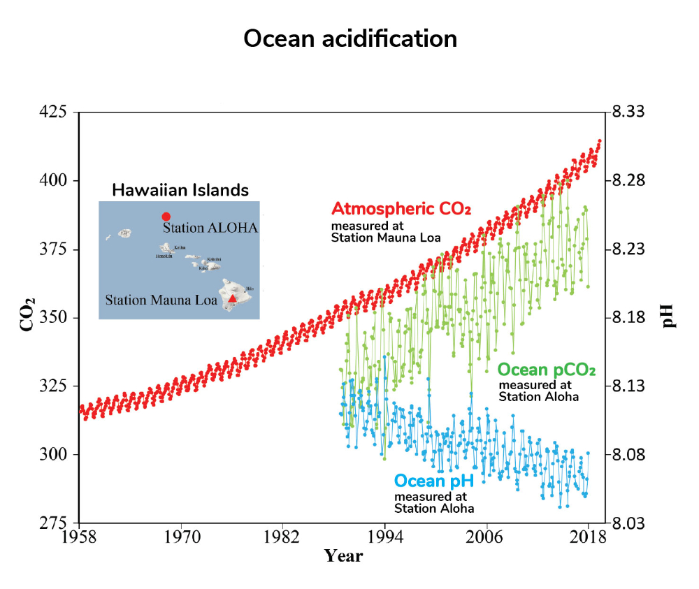 Ocean acidification
