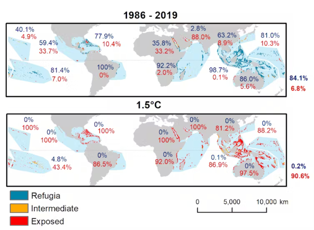 high seawater temperature areas