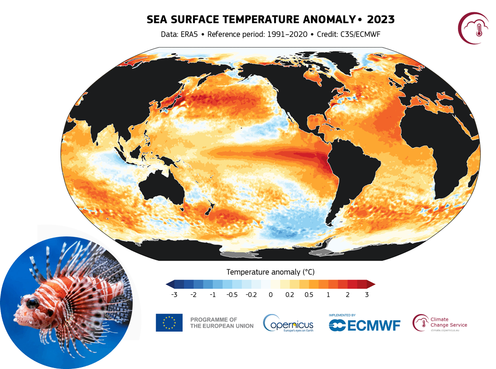 sea surface temperature anomaly