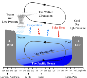 Alt: Walker Circulation diagram: trade winds, evaporation, thermocline across the Pacific Ocean from Darwin (west) to Lima (east).