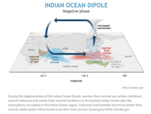 Indian Ocean Dipole - Negative phase: increased rainfall over Indonesia/Australia, reduced rainfall over East Africa.