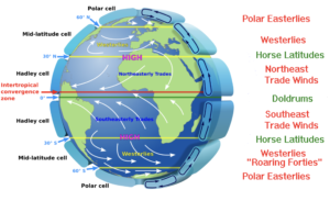 Global circulation of Earth's atmosphere displaying Hadley cell, Ferrell cell and polar cell, with surface wind bands (Polar Easterlies, Westerlies, Horse Latitudes, Trade Winds, Doldrums).