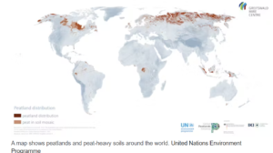 World map showing the distribution of peatlands and peat-in-soil mosaic.