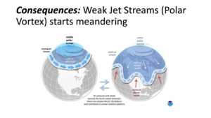 Two-panel diagram: stable polar vortex (left) vs wavy/meandering polar vortex (right), with their effects on jet stream behaviour.